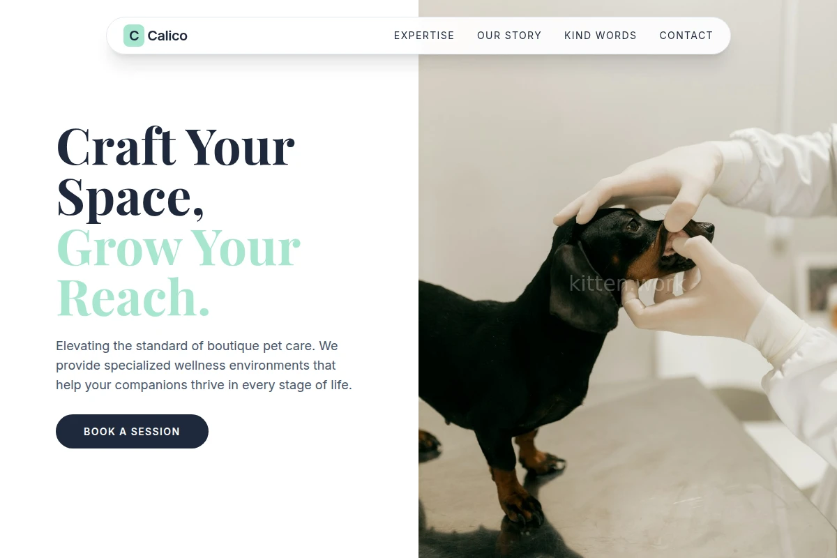Vellum Animal Care