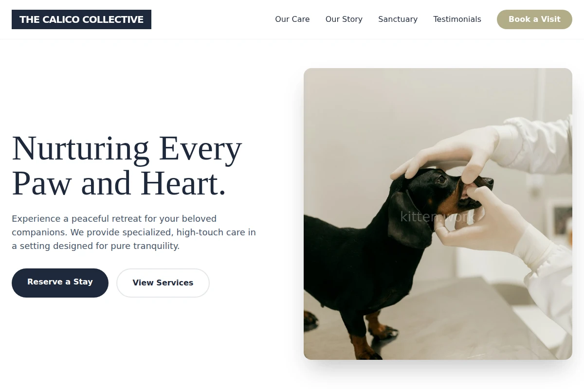 animal-care