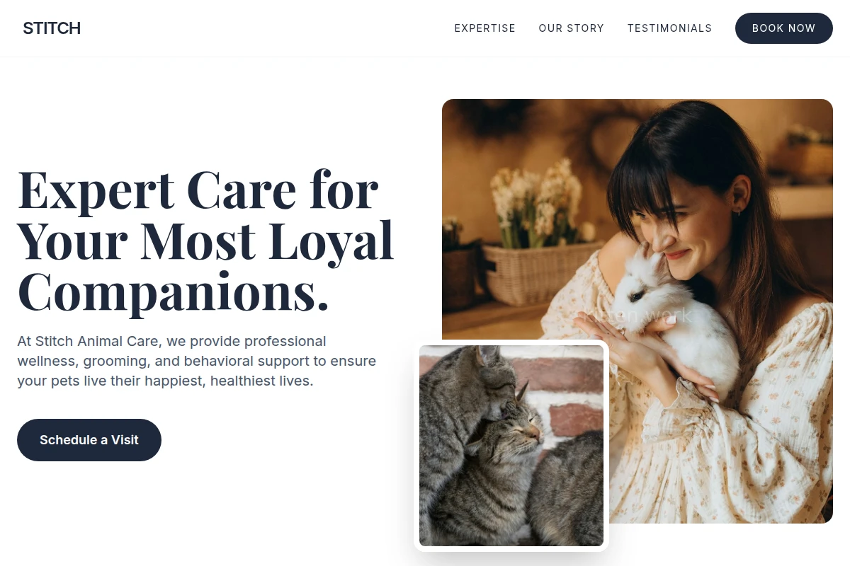Stitch Animal Care