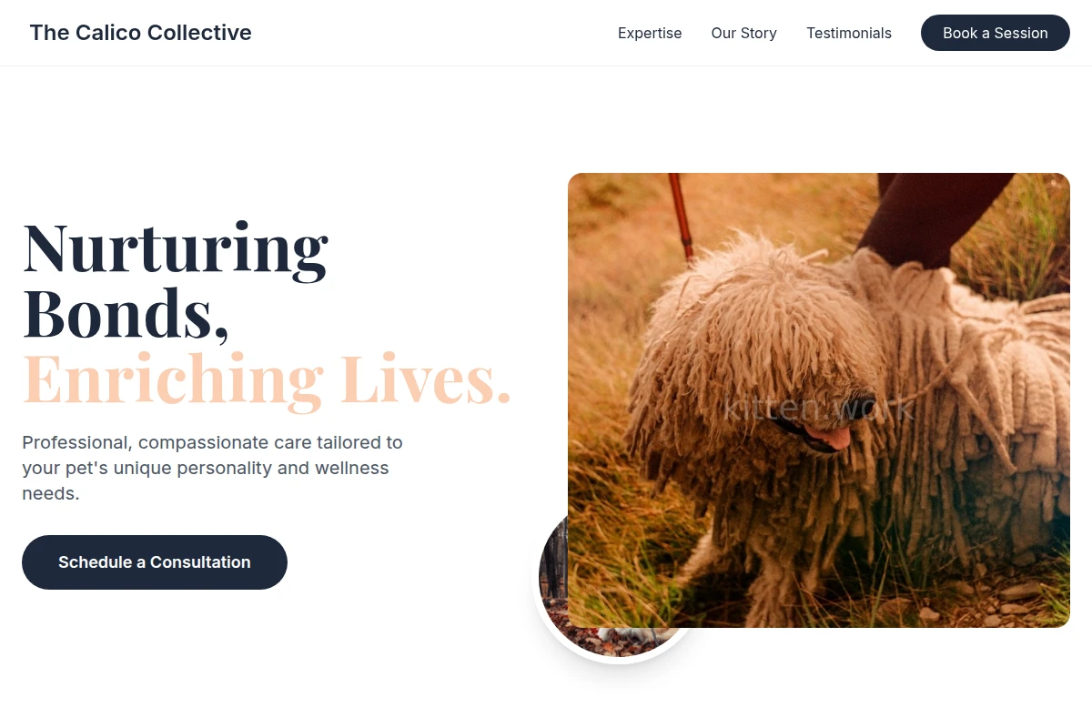 pet-services